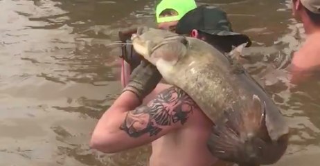Catching Catfish With Bare Hands Makes for Epic Baby Gender Reveal