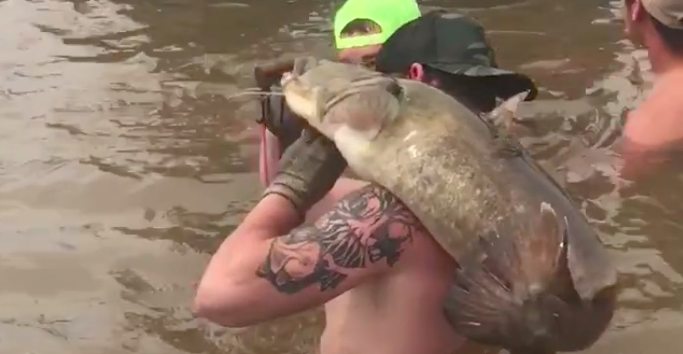 Catching Catfish With Bare Hands Makes for Epic Baby Gender Reveal
