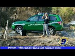 Mattinata |  Fiamme nel Parco del Gargano, denunciato 56enne