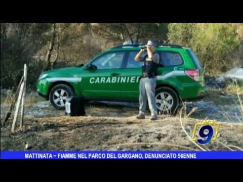 Mattinata | Fiamme nel Parco del Gargano, denunciato 56enne
