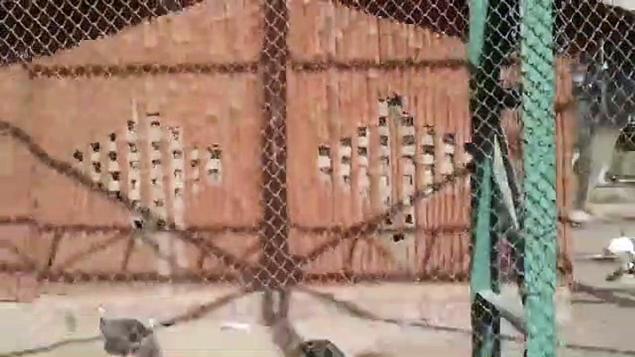 Funny Videos That Will Make You Laugh So Hard You Cry - Just Laughing !!