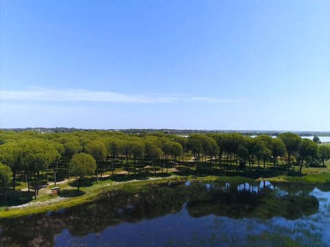 Heineken España y la Junta de Andalucía restauran humedales en Doñana