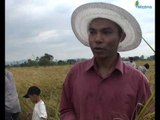 Why has organic farming not been introduced in Burma yet?