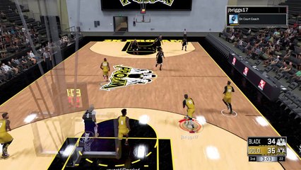 NBA 2K17 pro am