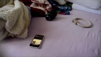 Funny and super cute white swiss shepherd puppy