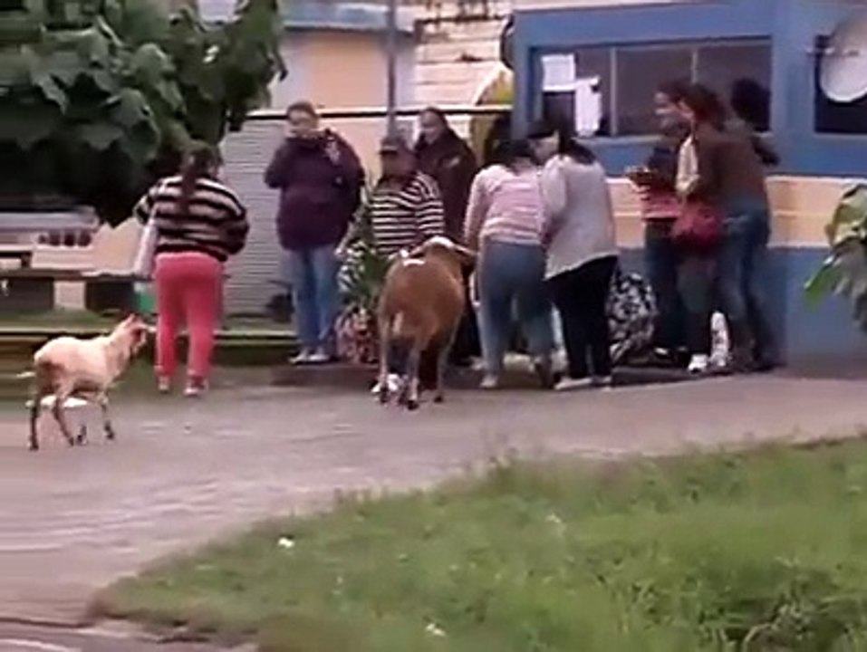 Herkese saldıran çılgın koc raki
