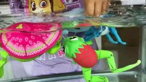 Little Live Pets Water Surprise Toys Giant Eggs Toy Surprises Lil' Turtle & Lil' Frog Really