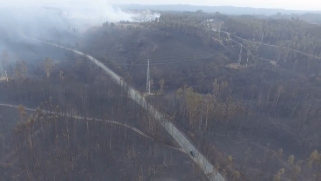 Bomberos consideran provocado el fuego de Portugal