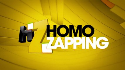 Cabecera Homo Zapping Neox 2017