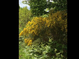 saintes - bayonne : avril mai 2017