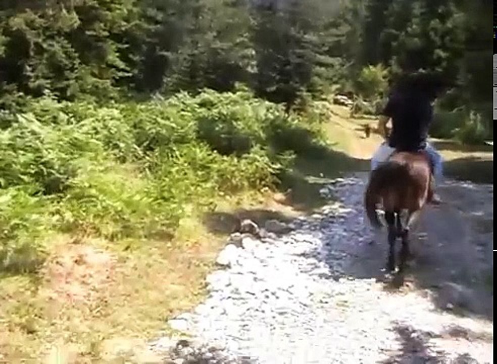 gardisti