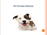 Pet Sitting Services in Frisco - Consult Trained Pet Sitter