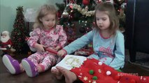Christmas Stocking Surprises _ We Decorate Christmas Stockings & Then Discover Toy Surprises!