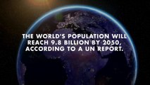UN report: World population will surpass 9 billion by 2050