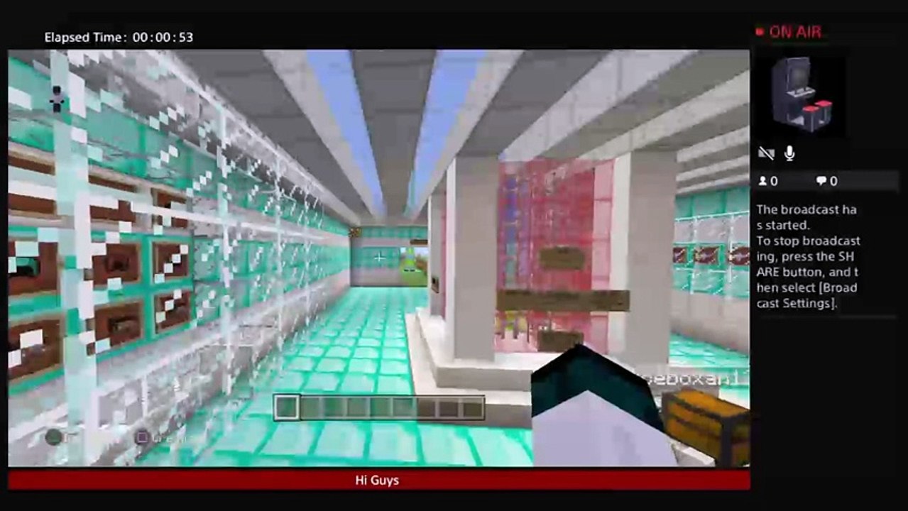 Minecraft (8)