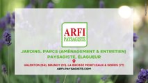 ARFI : Paysagiste/Elagueur/Création et entretien de jardins et d’espaces verts. Région parisienne