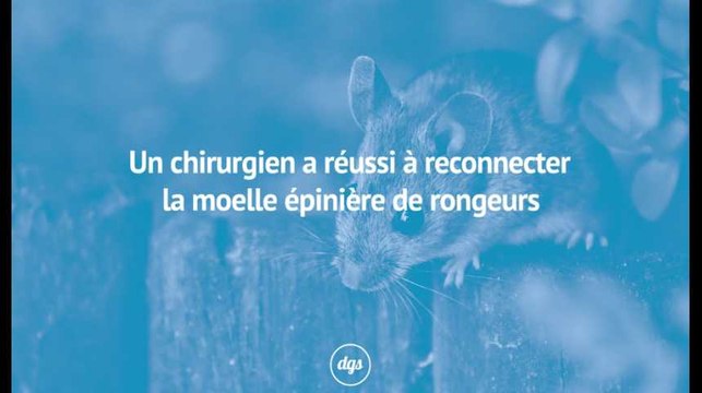 Greffe de tête : ce chirurgien vient de franchir une étape déterminante pour la médecine