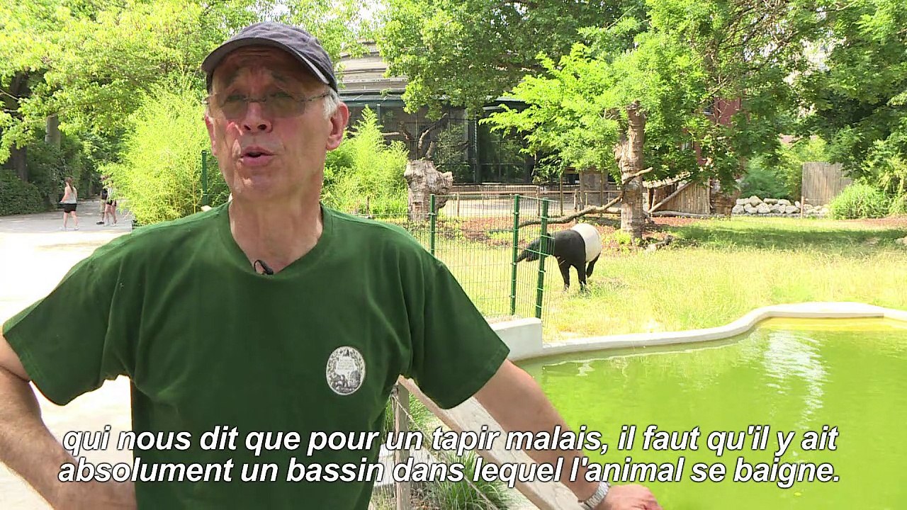 Les animaux du Jardin des Plantes face à la canicule
