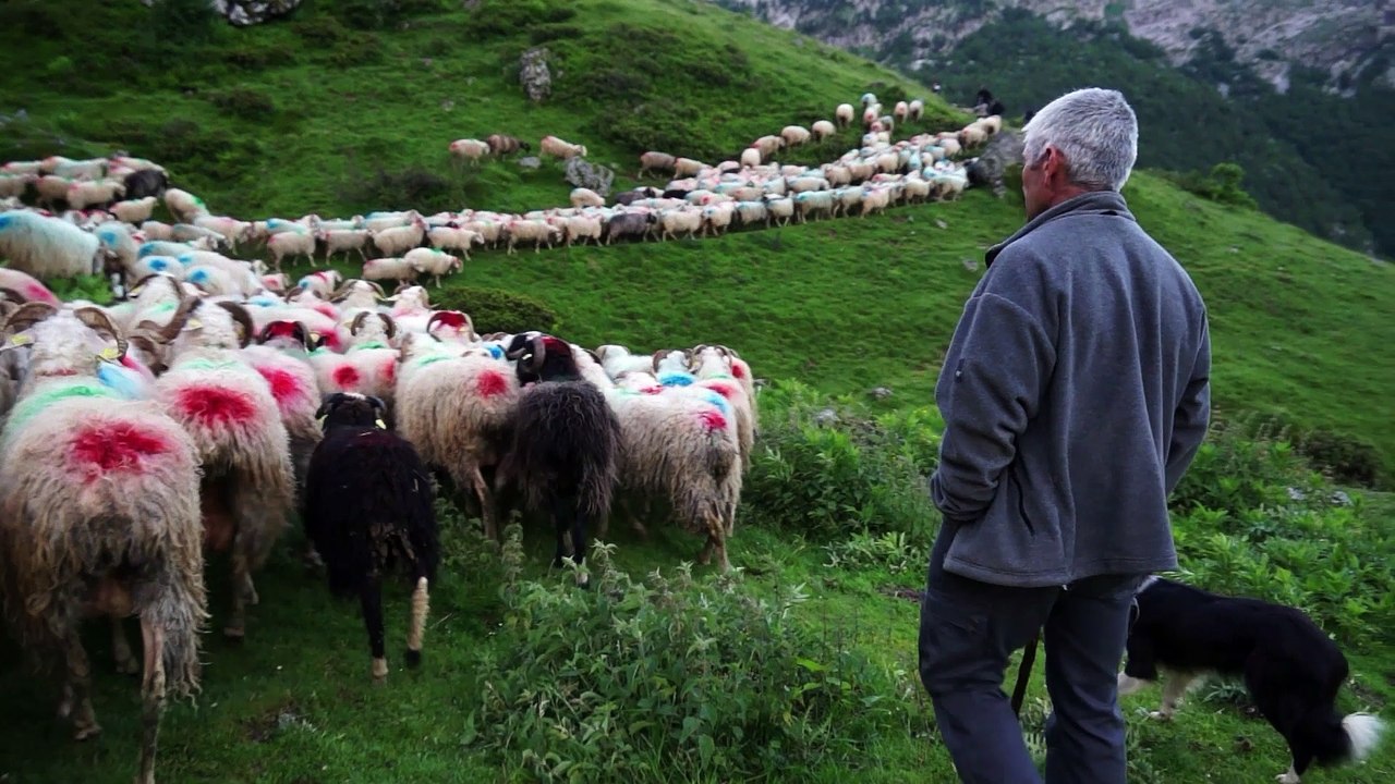 CDM "LES PYRENEES, De l’Atlantique à la Méditerranée" la bande annonce du film de Jean-Luc DIQUELOU
