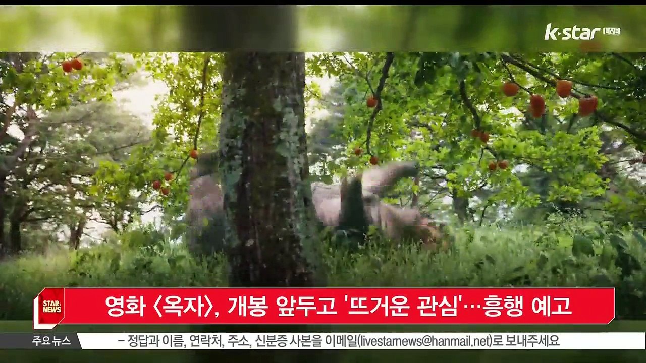 영화 [옥자], 오는 29일 개봉 앞두고 '뜨거운 관심'…흥행 예고