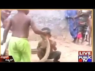 Video Of Little Children Playing With Cobra Goes Viral On Social Media