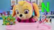 LEARN ABC Alphabet Song with Paw Patrol Baby Skye Learning Colors and ABCs for Children &