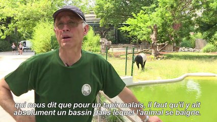 Les animaux du Jardin des Plantes face à la canicule