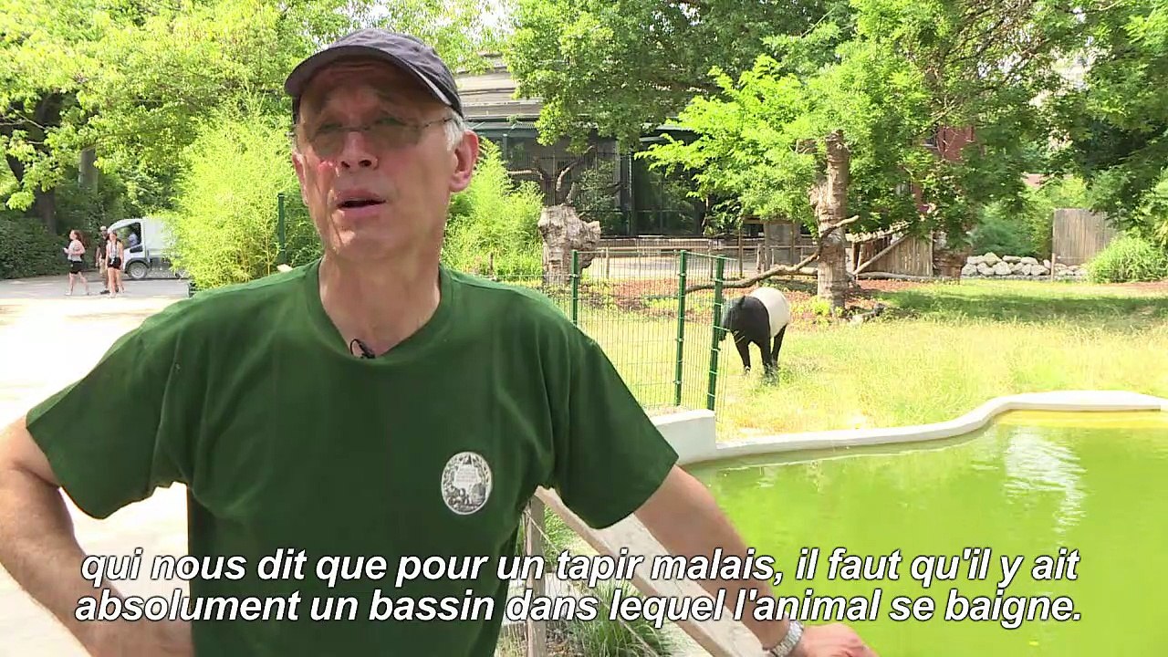 Les animaux du Jardin des Plantes face à la can...