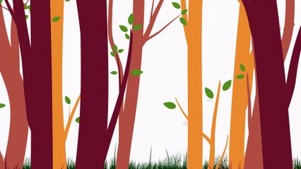 La maladie de Lyme : Ce que vous devez savoir.