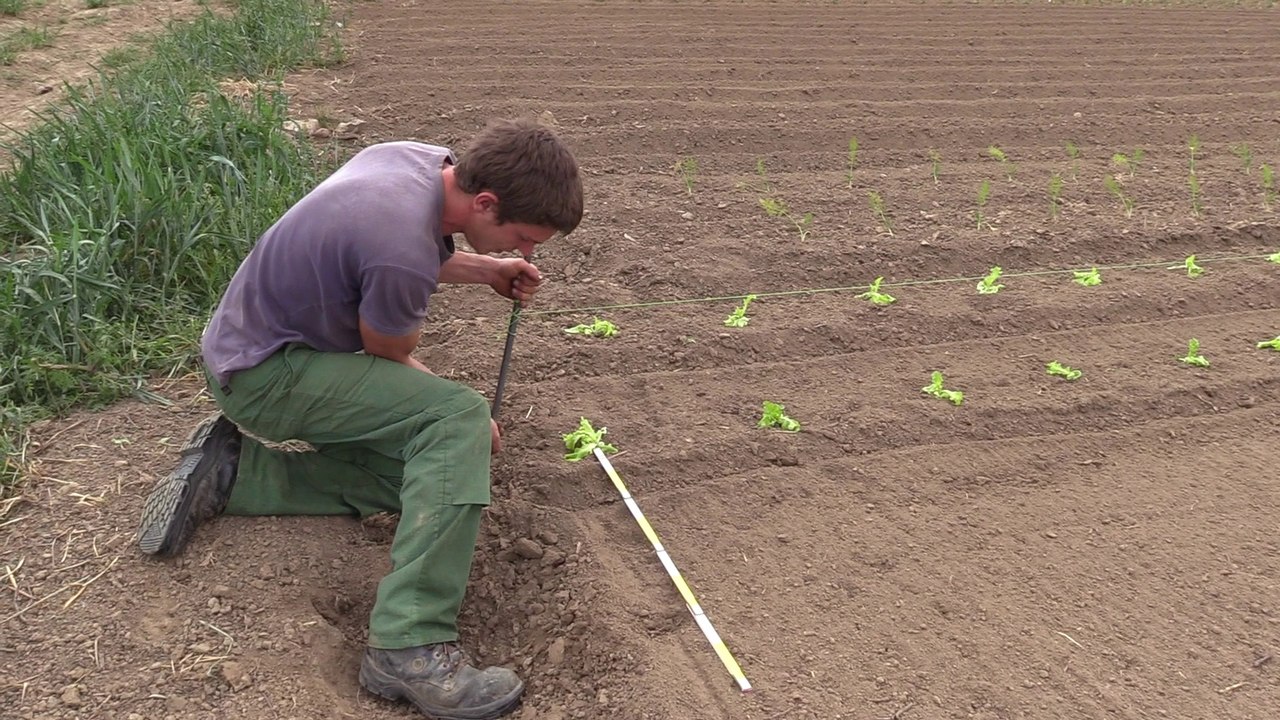 Artisans de Bossimé: Lancement d'une plate-forme de distribution de produits locaux en circuit court - Inspire