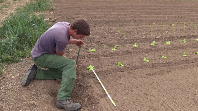 Artisans de Bossimé: Lancement d'une plate-forme de distribution de produits locaux en circuit court - Inspire