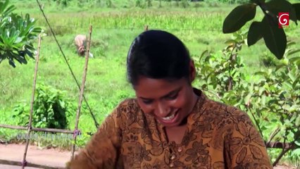 Si 229 22nd June 2017