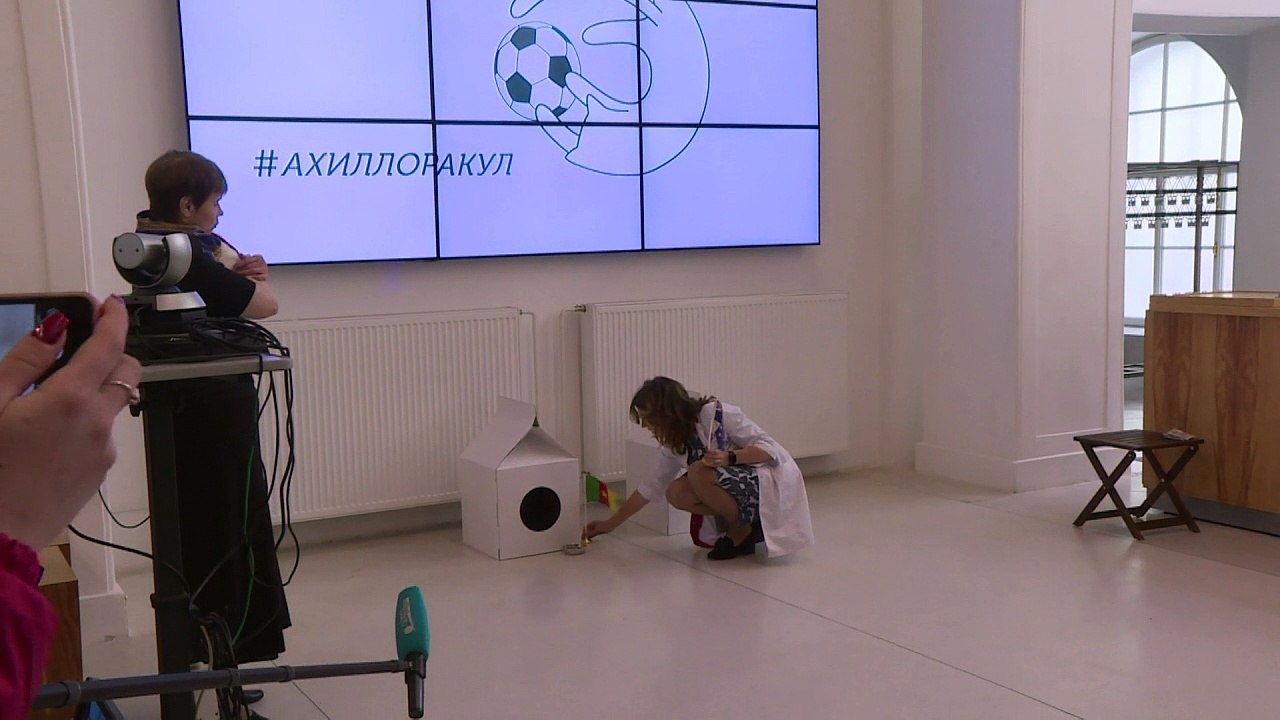 Foot: Achille, le chat qui prédit les victoires