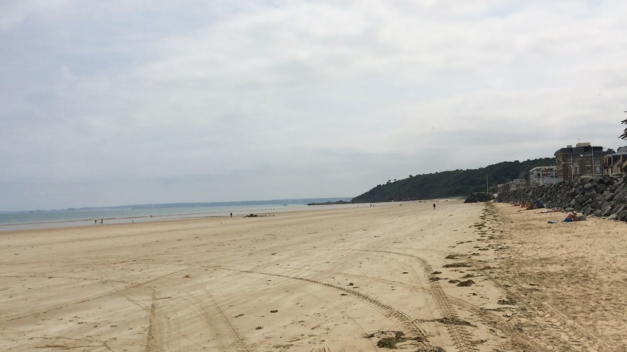 Côtes-d'Armor. Des centaines d'araignées sur la plage