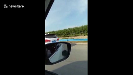 Woman filmed sitting on car roof on a motorway