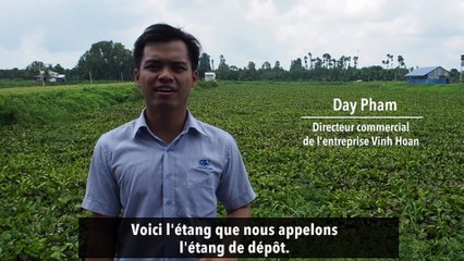 Explications à propos de l'étang de dépôt