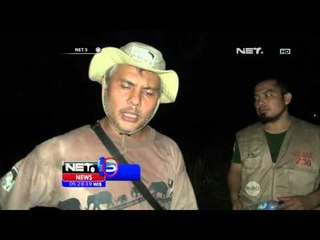 Dua Gajah Sumatera Liar Terinfeksi Diobati Tim Gabungan - NET5