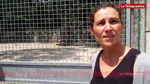 Chiens et chats. Contrôle inopiné à la SPA d'Inzinzac-Lochrist (56)