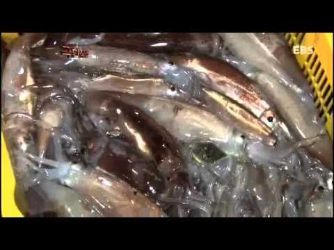 극한직업 - Extreme JOB_주문진항 24시 1부_#001