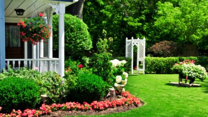 Wards Lawn Service and Irrigation - (843) 885-1107