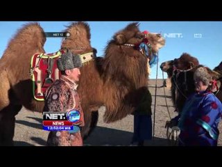 Kemeriahan Mongolia Camel Festival - NET12