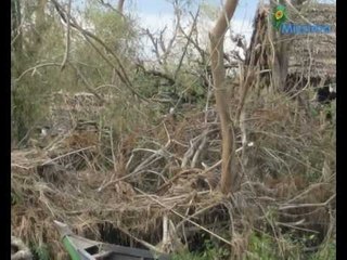 3 years Nargis recovery to cost US$  700 millions