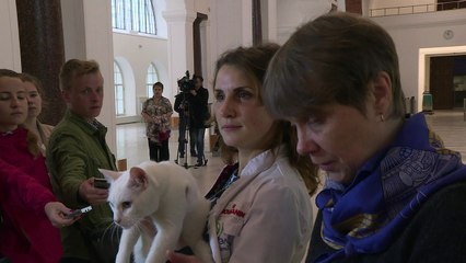 El gato Achilles, oráculo de la Copa de las Confederaciones