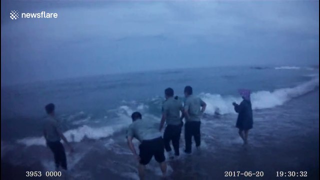 Police and fishermen rescue a whale shark stranded on beach