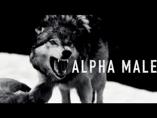 Alpha Male - Motivational Video