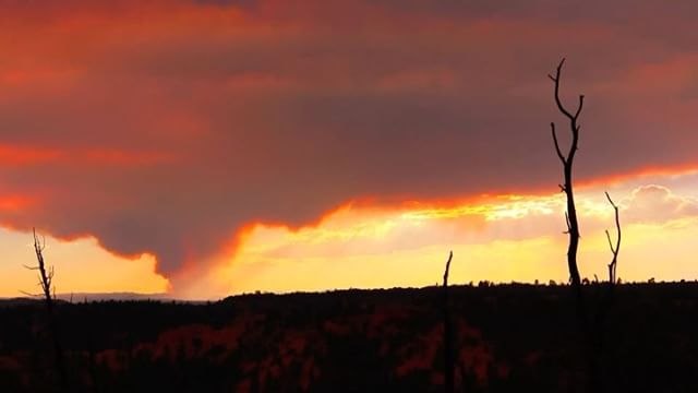 Utah's Brian Head Fire Grows to 11,000 Acres Overnight