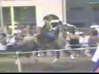 Carreras de cintas Navia