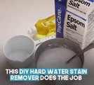 CLEANING TOILET BOWL STAINS