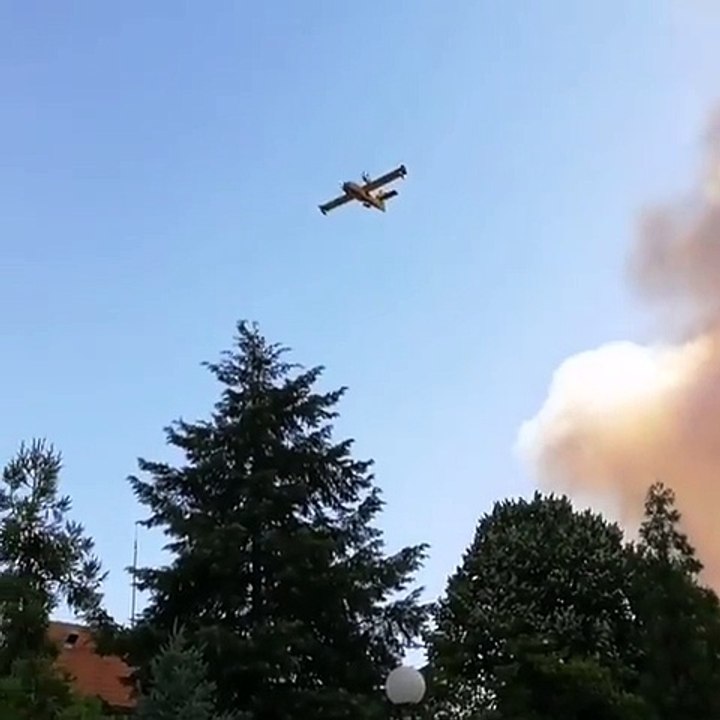 Aircraft Continue to Battle Blaze as More Than 60 Killed in Portugal Fires