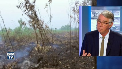 Canicule: "On peut s'attendre dans les 50 ans à une augmentation de ces épisodes"